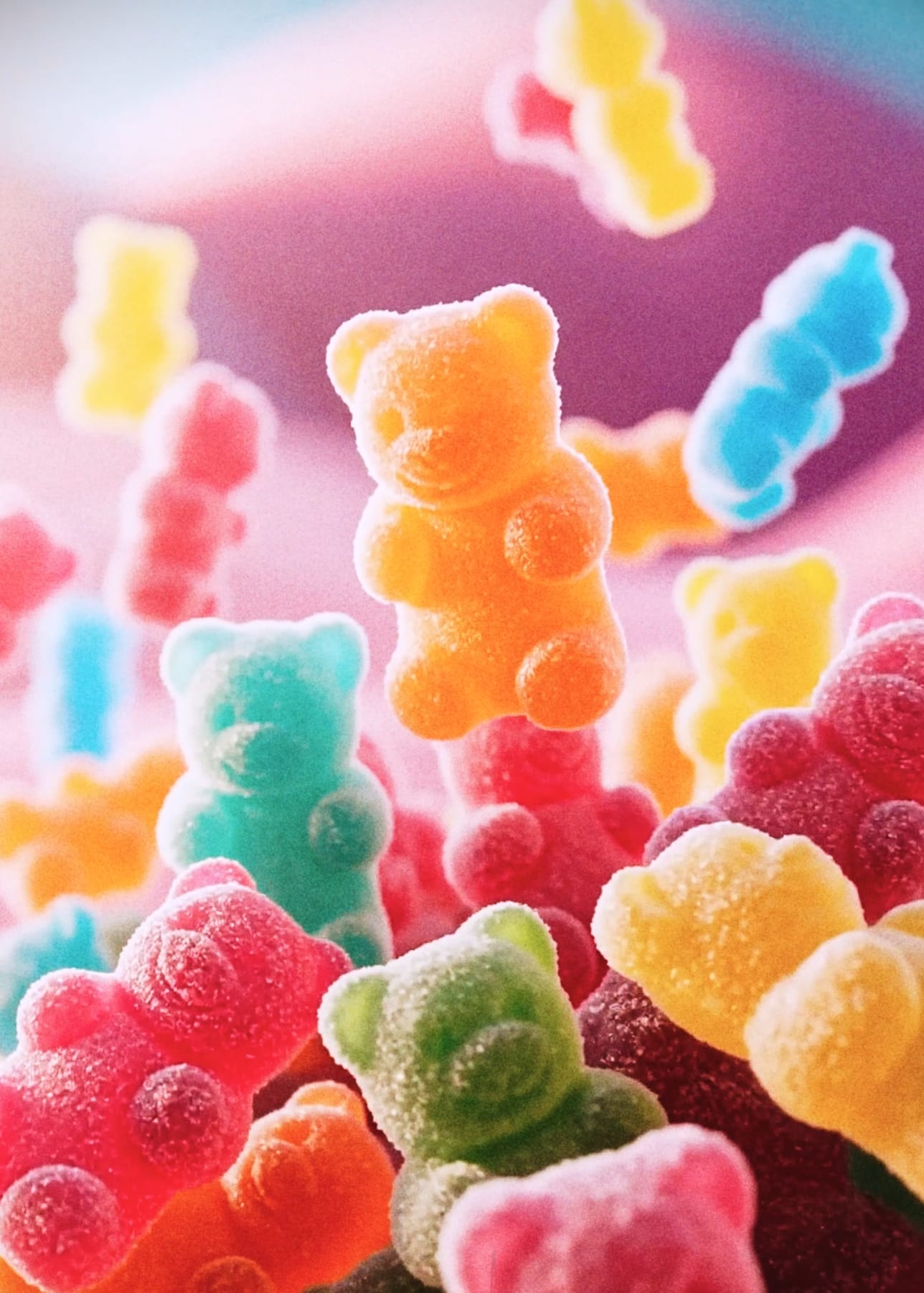 Fizzbears
