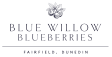 Blue Willow Blueberries logo