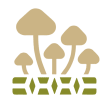 Mushborn logo