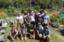 Community Produce