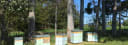 Golden Apiaries