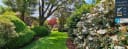 Lush Hallard Gardens in New Zealand, showcasing vibrant green lawns, white rhododendrons, and a large tree. Qualmark Gold and NZ Gardens Trust logos are visible.