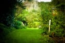 Lush green garden path leading into a bright, verdant sanctuary, reflecting the 'Mahi Whenua' (work the land) ethos.