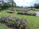 Te Awamutu Community Gardens