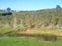 Sunny Hawke's Bay farm landscape featuring olive groves on rolling hills, green pastures, and a reflective pond, for Ti Kouka Farm butcher.