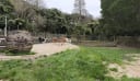 Five dogs, including Border Collies and sighthounds, in an outdoor kennel training area with a large wooden spool and fences.