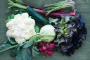 A vibrant assortment of fresh, raw vegetables including cauliflower, zucchini, asparagus, rhubarb, radishes, kohlrabi, and red lettuce.