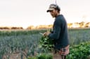 Waybeyond Organics