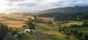 Whangaripo Valley Buffalo Cheese
