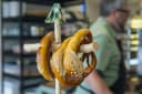 Wild Yeast Bakery