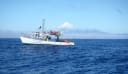 Egmont Seafoods