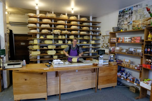 Mercer Cheese