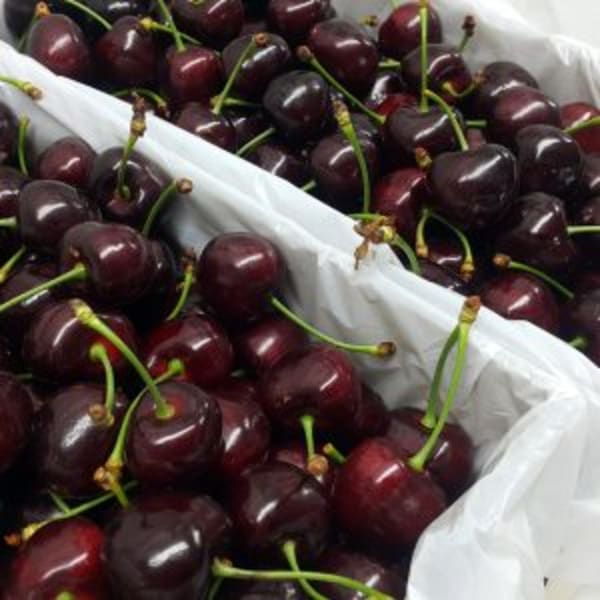 Earnscleugh Orchards Co-op