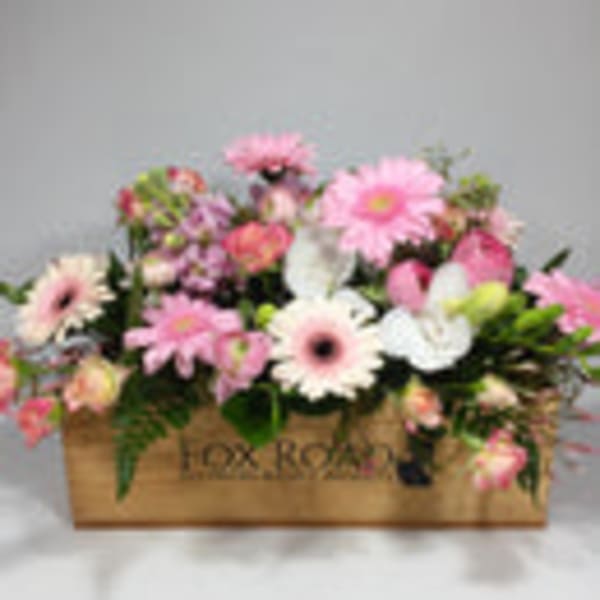 Fox Flora Dora Flowers