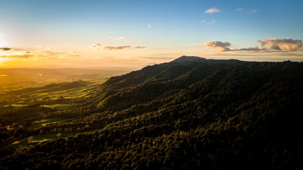 Kaimai Ranges Orchard
