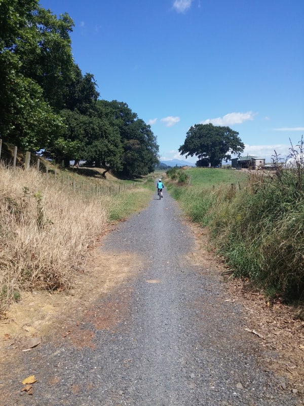 Puriri Flat