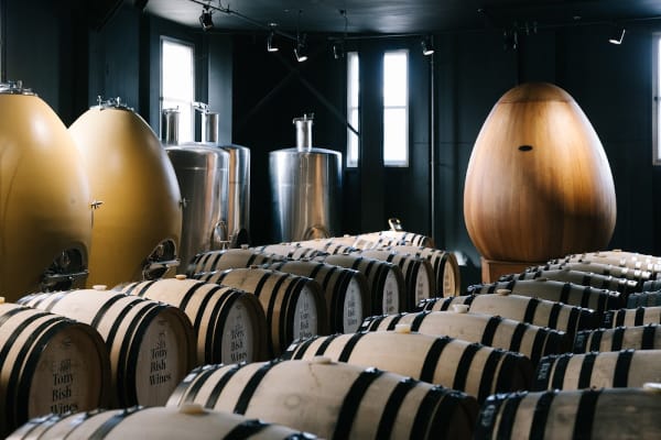 Urban Vino