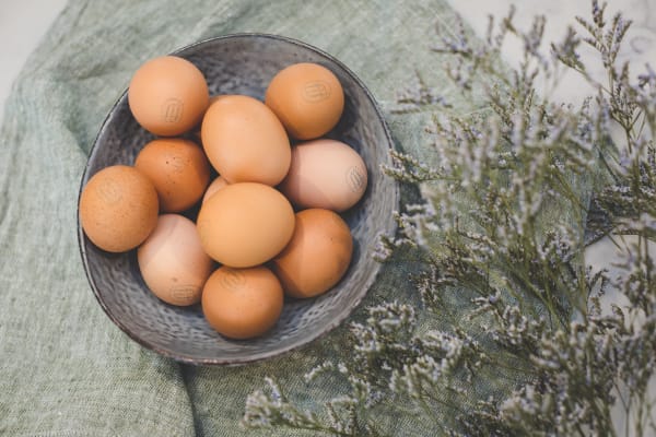Egg Vendor(s)