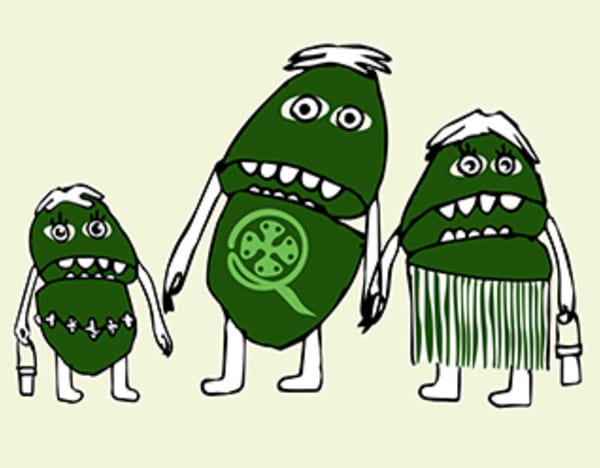 Quinta Feijoas