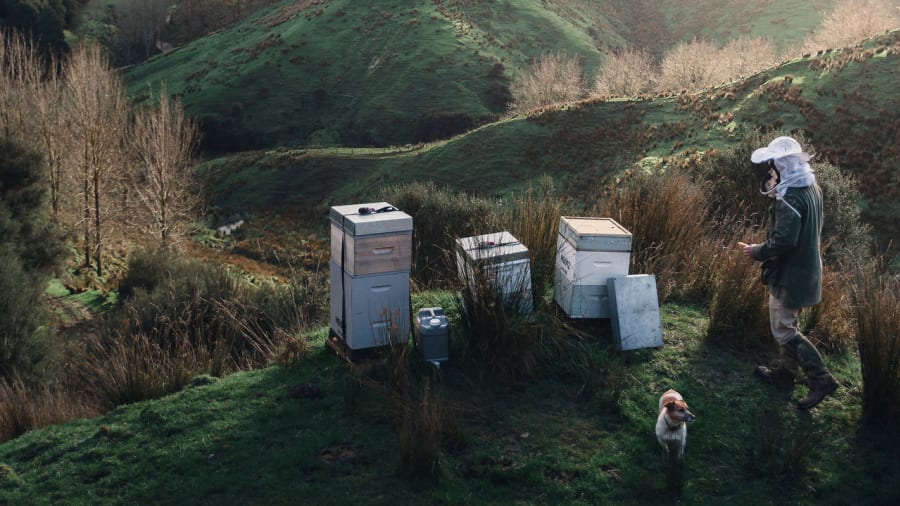 Bee & Flow Mānuka Honey