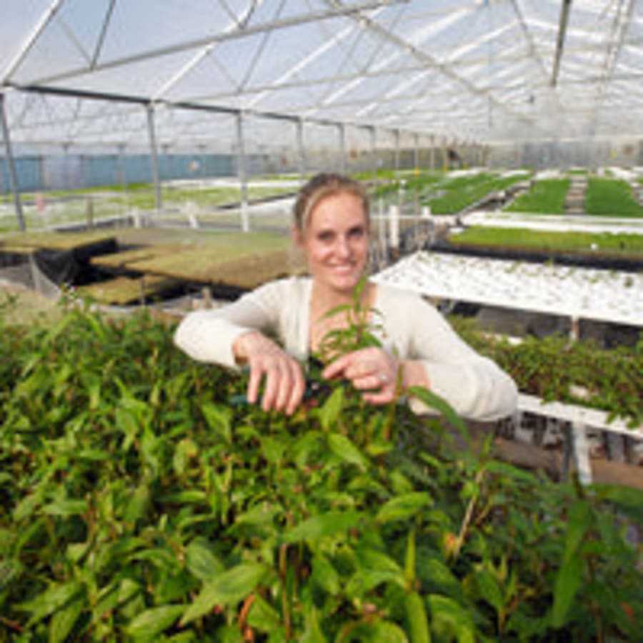 Marlborough Microgreens