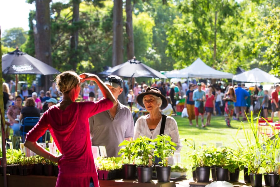 Shoppers browse a plant stall at a sunny outdoor farmers market, with many people and tents in the background.