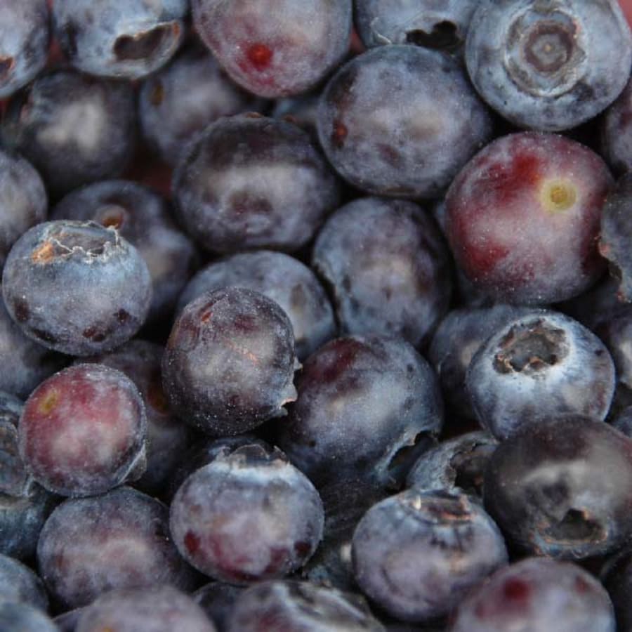 Close-up of fresh or frozen blueberries, showing their deep blue colour and frosty bloom.