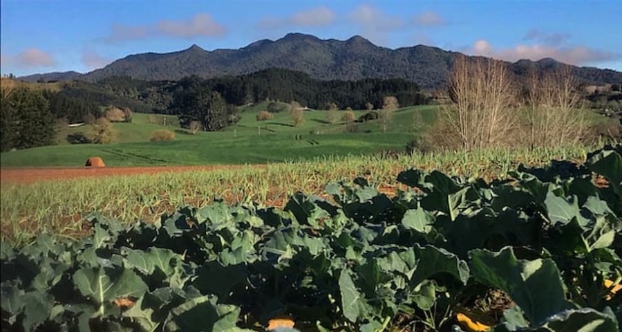 Pirongia Mountain Vegetables