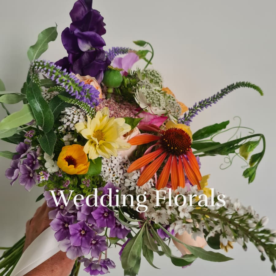 Florist/Plant Vendor(s)