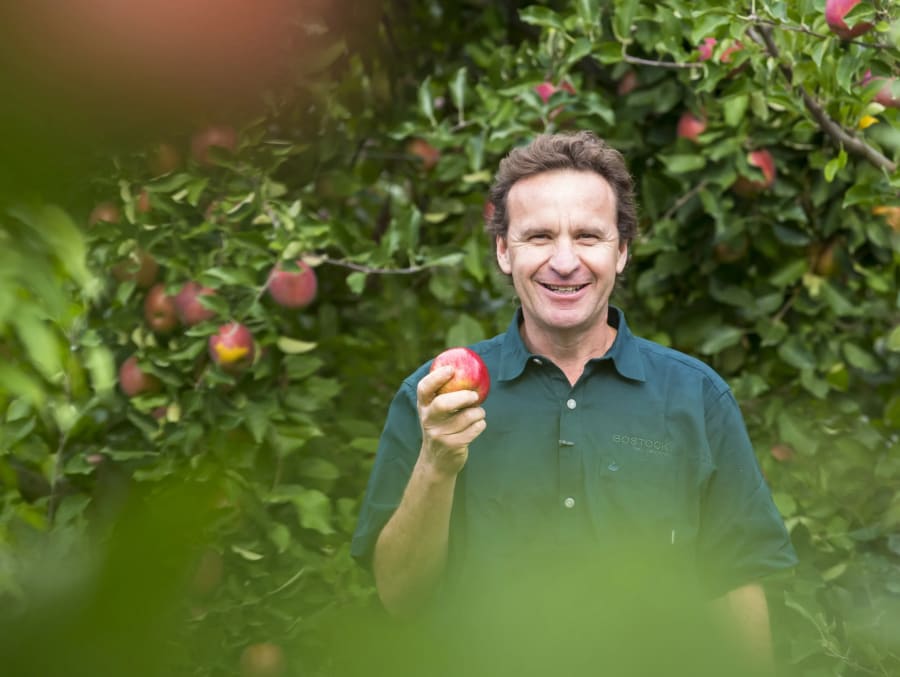 Local Growers (Organic Apples)