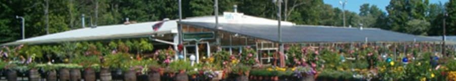 Vibrant garden centre with rows of colourful potted flowers and plants, displayed in barrels and on tables, representing a grower's offerings.