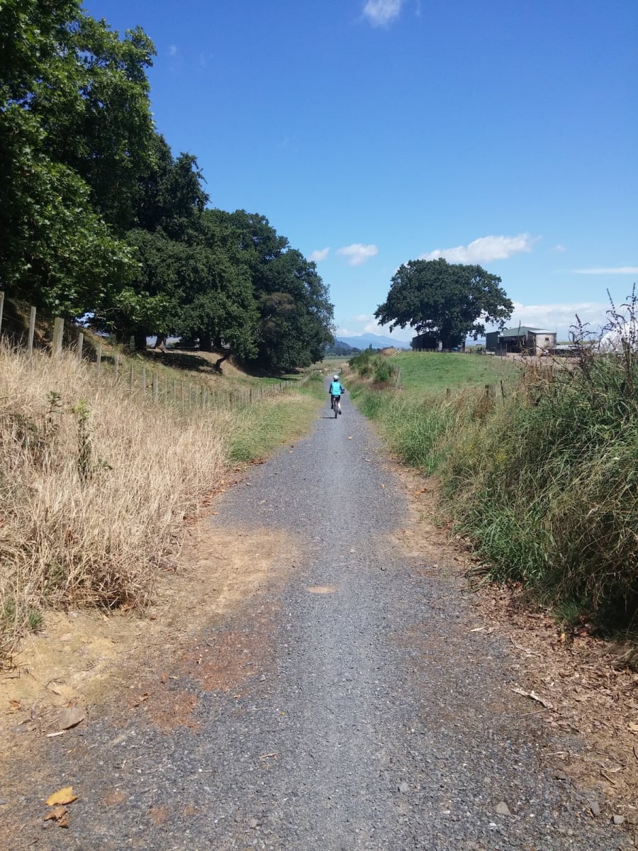 Puriri Flat