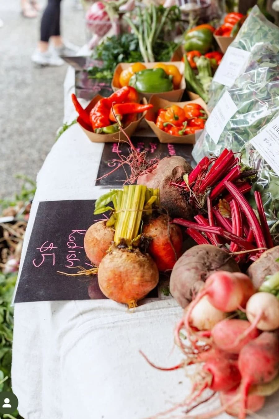Freshly harvested beets, radishes, peppers, and leafy greens displayed at a Fable to Table stall at Matakana Village Farmers' Market.