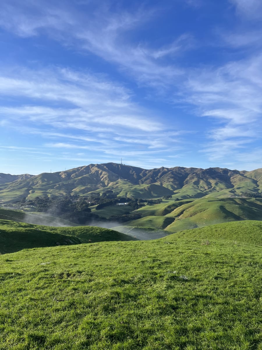 Conscious Valley