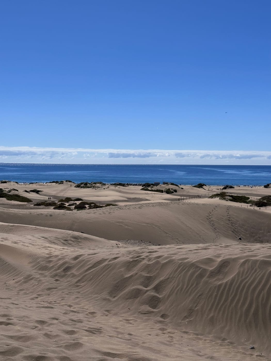 Dunas de arena que bajan hasta el mar en Maspalomas, en la costa sur