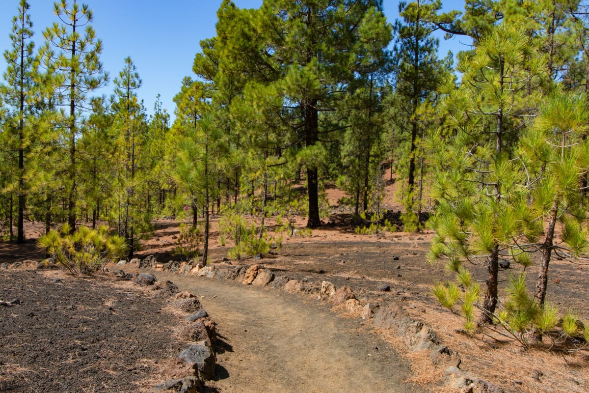 Wandern auf Teneriffa: Wege und Regeln