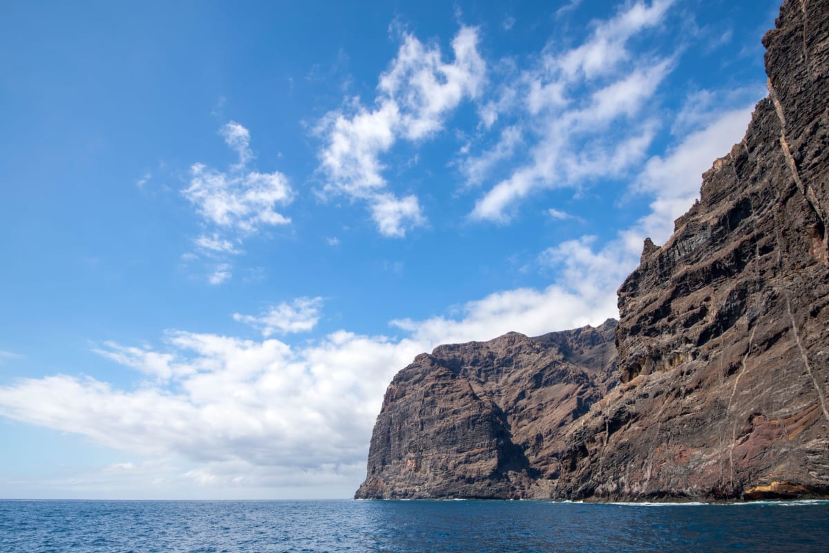 Wal- und Delfinbeobachtung auf Teneriffa