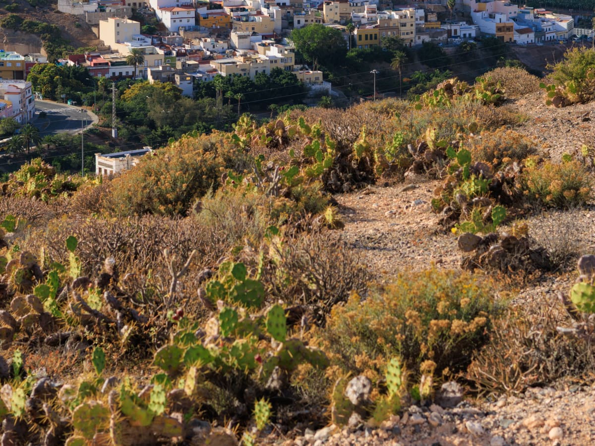 Getting around Gran Canaria photo 3