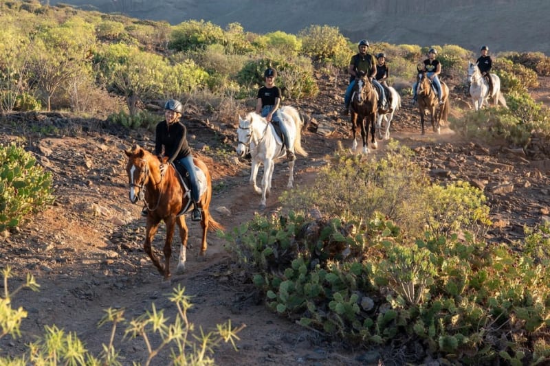 Horse riding on volcanic trails