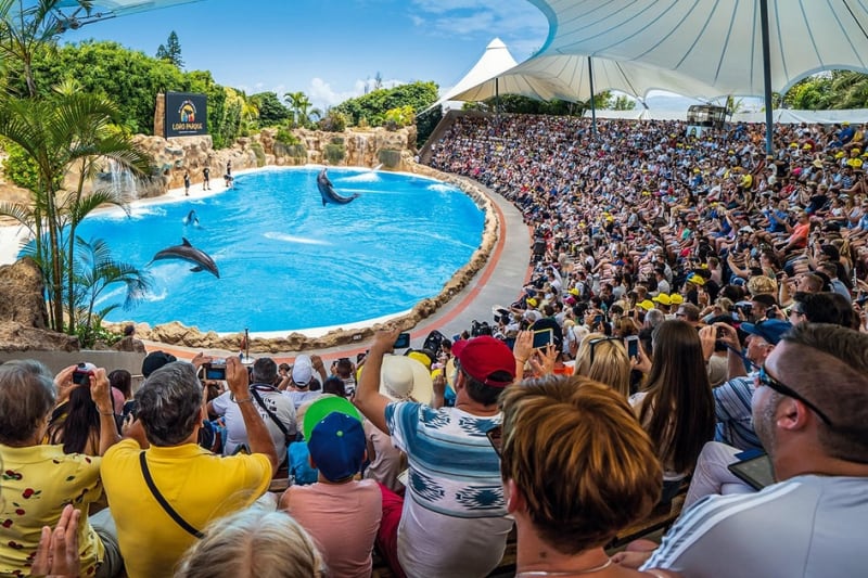 Loro Parque entry ticket