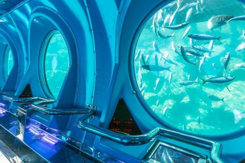 Submarine trip at Puerto de Mogán