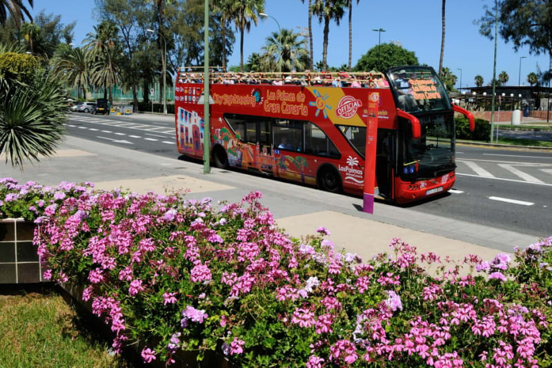 Las Palmas hop-on hop-off bus