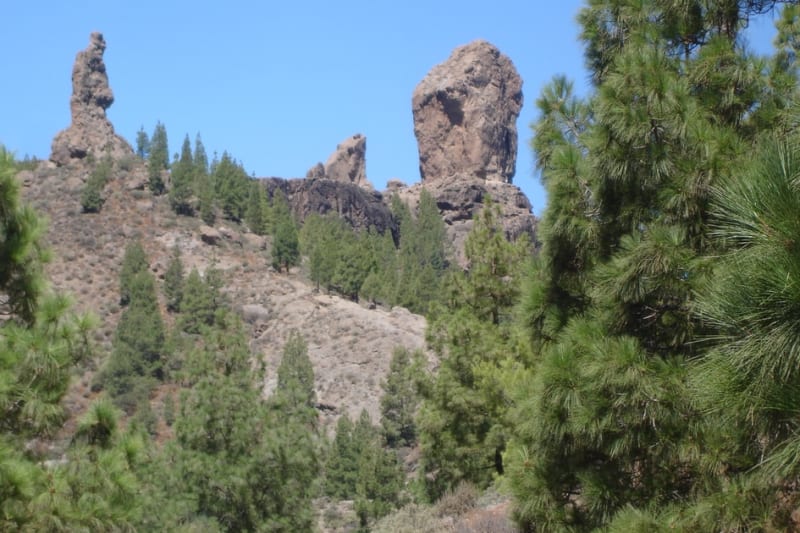Roque Nublo and Pico de las Nieves day trip