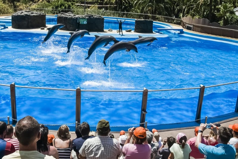 Palmitos Park with the dolphin and bird shows