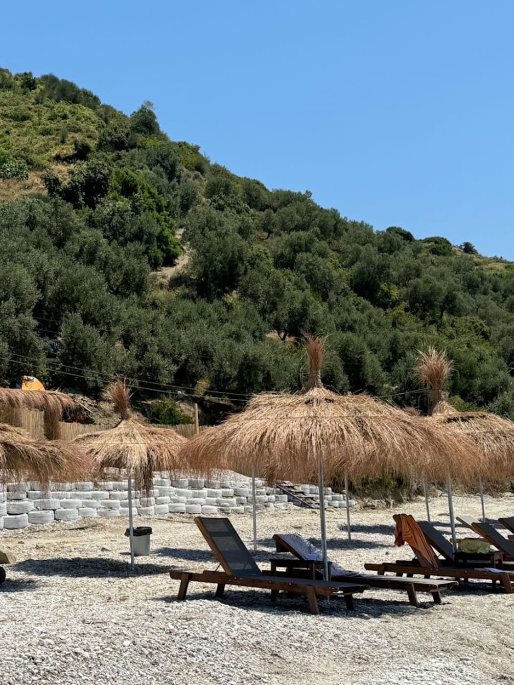 Transats et parasols en paille sur la plage de galets de Blue Camps à Borsh, sous une colline plantée d'oliviers
