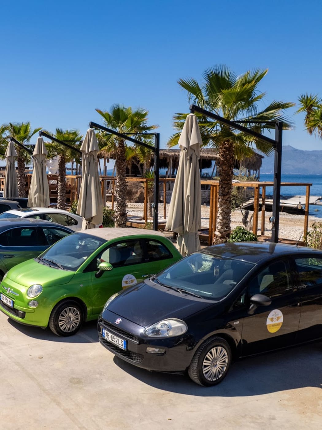 Petites voitures de location d'une agence de Saranda garées près de la plage sous des palmiers