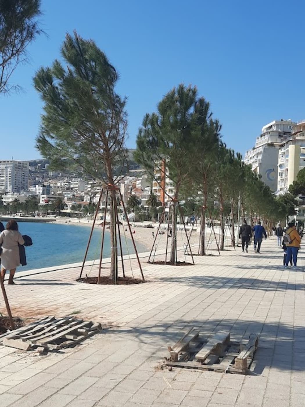Młode sosny przy palikach wzdłuż wybrukowanej promenady w Sarandzie, obok plaży miejskiej i zatoki