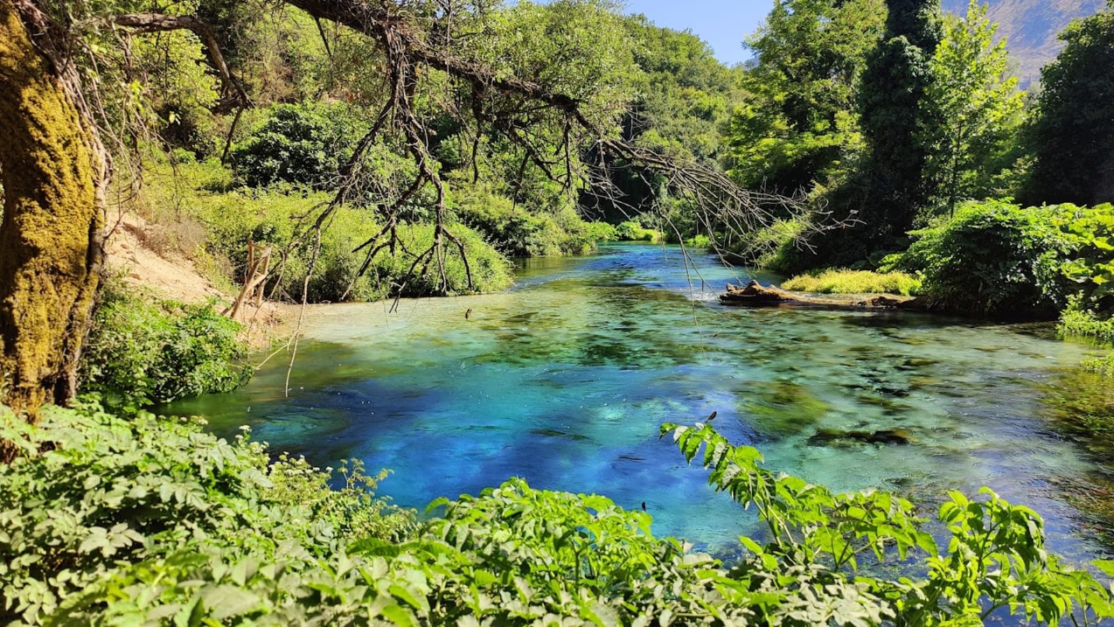 Day Trips from Saranda: Butrint to Corfu
