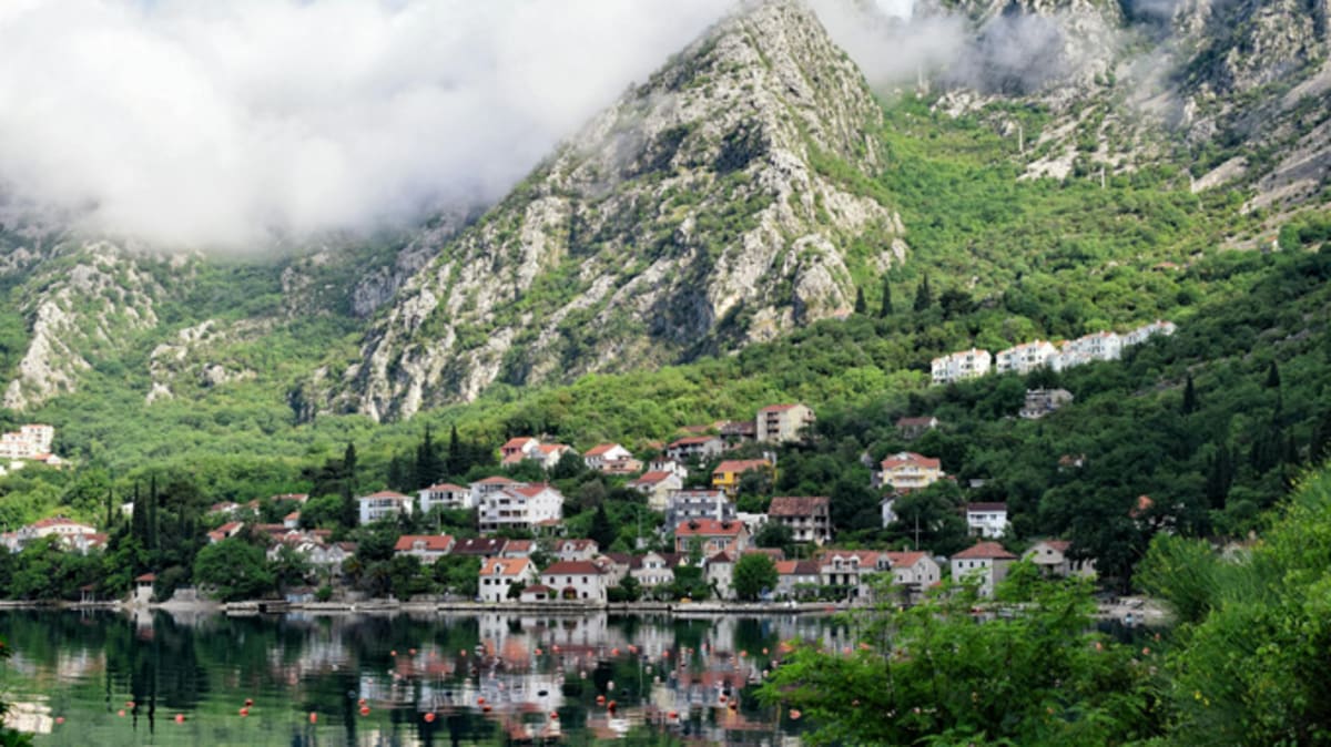 Hidden Gems of Kotor Bay: Explore Local Shops, Cafés & Services