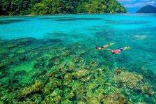 Phuket Snorkeling Tours